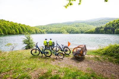 Rutas guiadas en e-bike por la Selva de Irati